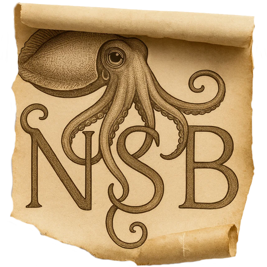 NSB Logo